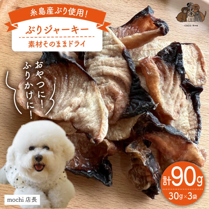 【先行予約・2024年1月以降順次発送】ぶり ジャーキー 30g×3袋 糸島市 / 株式会社コバヤシ【coco.kina】 [ASL010] 常温 犬 ペットフード 11000円 1万1千円