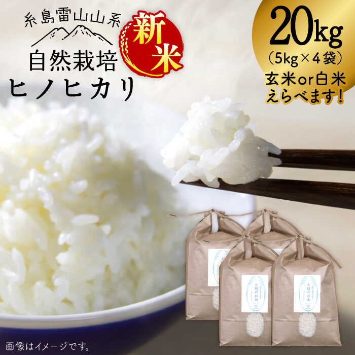 【ふるさと納税】自然栽培 ヒノヒカリ 20kg《糸島》【大石ファーム】[ATE003] 常温