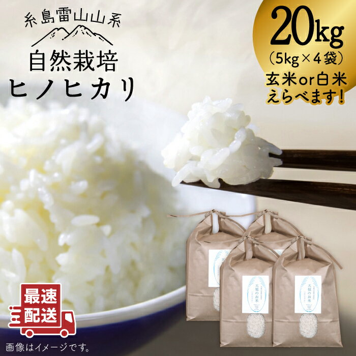 【ふるさと納税】＼令和5年産／自然栽培 ヒノヒカリ 20kg