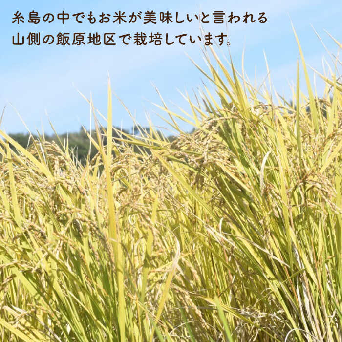 【ふるさと納税】【先行受付中】【令和8年産 新米】【全12回定期便】自然栽培ヒノヒカリ10kg【2026年11月上旬以降順次発送】《糸島》【大石ファーム】 [ATE022] お米 白米 常温 f402303-itoshima-10003090 福岡県糸島市 サンプル画像3