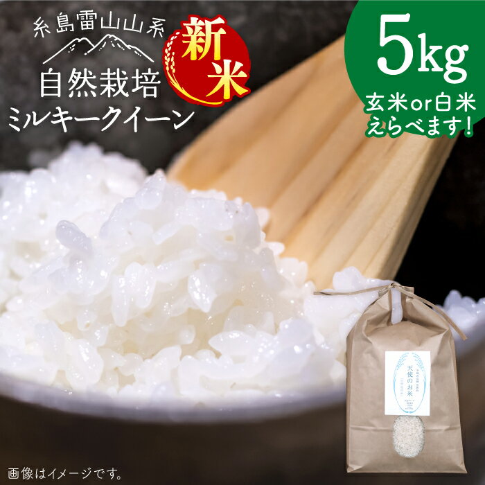 [新米受付中]＼令和6年産/糸島産 ミルキークイーン 5kg 自然栽培[2024年10月下旬以降順次発送]≪糸島≫[大石ファーム] [ATE014] 19000円 常温