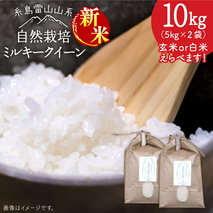 [新米受付中]＼令和6年産/糸島産 ミルキークイーン 10kg 自然栽培[2024年10月下旬以降順次発送] ≪糸島≫[大石ファーム] [ATE015] 34000円 常温