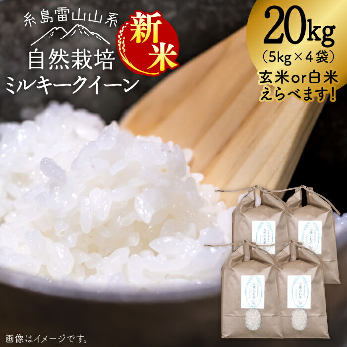 [新米受付中]＼令和6年産/糸島産 ミルキークイーン 20kg 自然栽培[2024年10月下旬以降順次発送] ≪糸島≫[大石ファーム] [ATE016] 67000円 常温