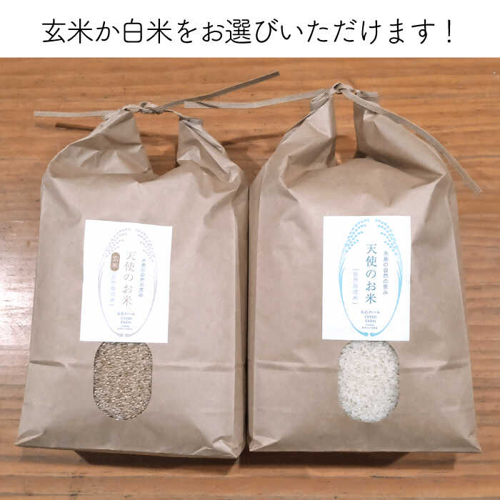【ふるさと納税】【先行受付中】【令和8年産 新米】【全12回定期便】自然栽培ヒノヒカリ5kg【2026年11月上旬以降順次発送】《糸島》【大石ファーム】 [ATE019] 常温 f402303-itoshima-10003087 福岡県糸島市 サンプル画像2
