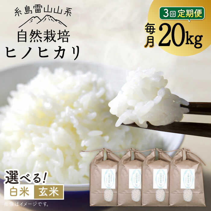 【ふるさと納税】【全3回定期便】自然栽培 ヒノヒカリ 20kg 糸島市 / 大石ファーム [ATE035] 160000円 16万円 常温 100000円 10万