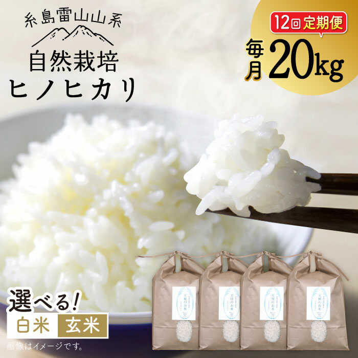 [全12回定期便]自然栽培 ヒノヒカリ 20kg 糸島市 / 大石ファーム [ATE037] 640000円 64万円 常温 600000円 60万