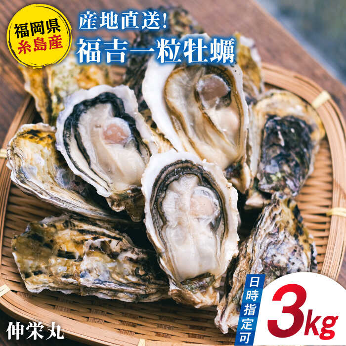 【ふるさと納税】【加熱用】一粒牡蠣 カキ 3kg (牡蠣ナイフ付き) 糸島産 福吉 糸島市/伸栄丸 カキの佐々木 牡蛎 かき [ATH002] 16000円 1万6千円