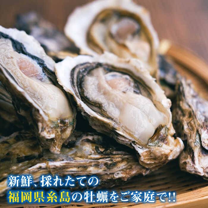 【ふるさと納税】【加熱用】一粒牡蠣 カキ 5kg (牡蠣ナイフ付き) 糸島産 福吉 糸島市/伸栄丸 カキの佐々木 牡蛎 かき [ATH003] 24000円 2万4千円