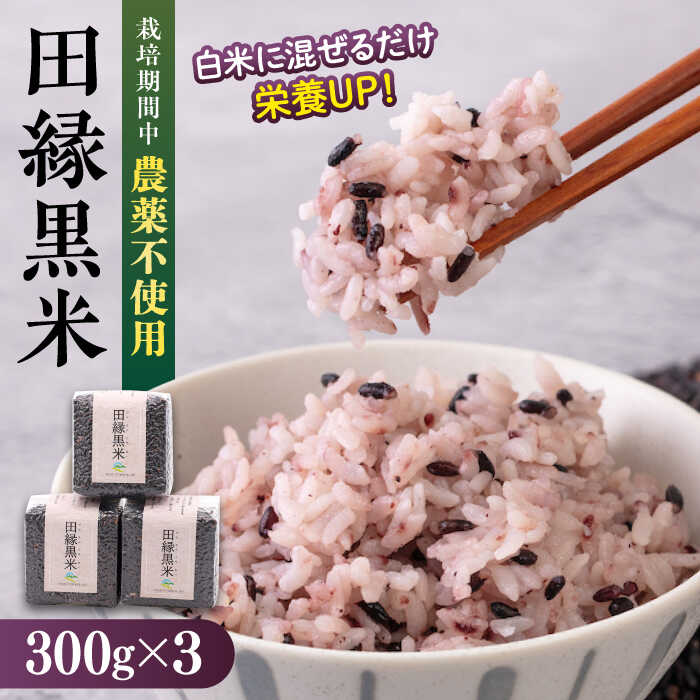 田縁黒米(でんえんくろまい)300g×3パック 糸島市 / NPO法人田縁プロジェクト[ATM003] 古代米 黒米 常温 11000円