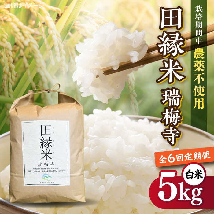 【ふるさと納税】【先行受付中】 【全6回定期便】 田縁米(でんえんまい)・瑞梅寺(ずいばいじ) 白米 5kg 【2026年12月上旬順次発送】 糸島市 / NPO法人田縁プロジェクト 米 白米[ATM007]10万円122000円