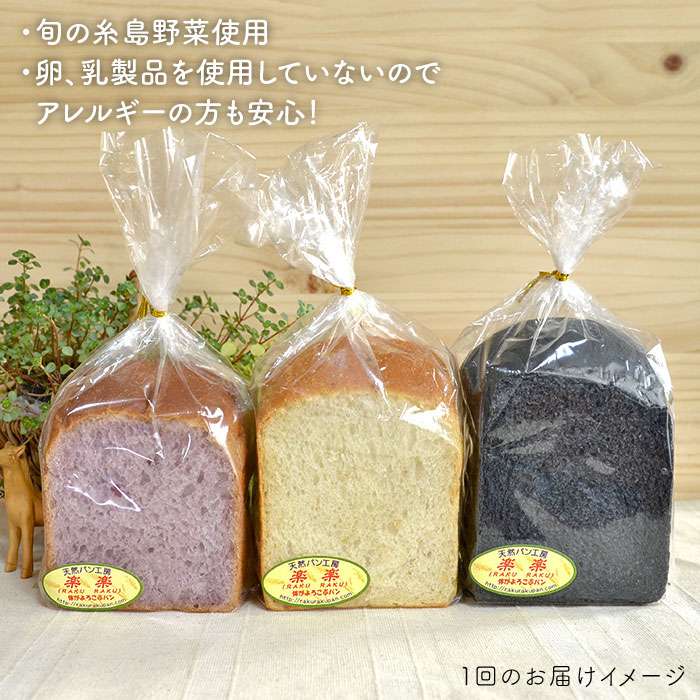 【ふるさと納税】【全3回定期便】身体がよろこぶ食パン3種セット（卵・乳製品不使用）【天然パン工房楽楽】いとしまごころ [AVC013] 35000円 3万5千円