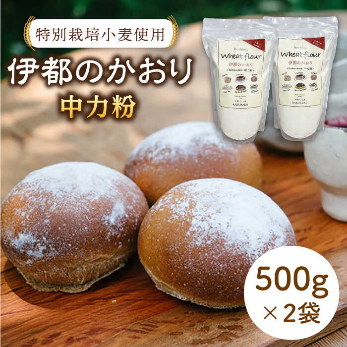 特別栽培小麦使用「伊都のかおり」500g×2袋 ≪糸島≫[天然パン工房楽楽]小麦/中力粉/パン [いとしまごころ][AVC052] 7000円 7千円 常温