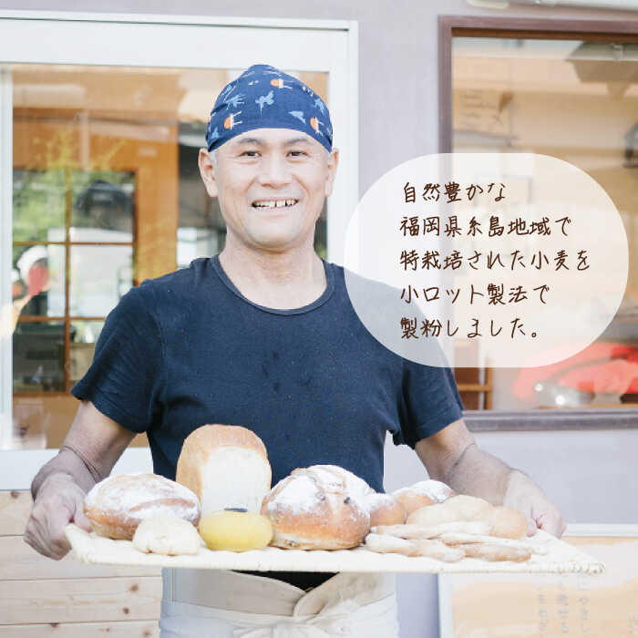 あづまの国の地粉600g（中力粉）★国産100％★タンパク質8.8％★1個までコンパクト便可