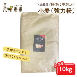 【ふるさと納税】【業務用】伊都のみのり（強力粉）10kg《糸島》【天然パン工房楽楽】【いとしまごころ】 [AVC064] 51000円 常温