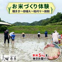 【ふるさと納税】お米づくり 体験チケット 糸島市 / 天然パン工房楽楽【いとしまごころ】 [AVC065] 米 体験 18000円