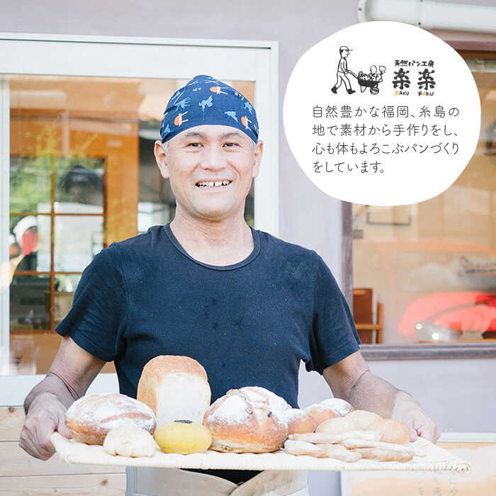 【ふるさと納税】【全6回定期便】特別栽培小麦使用 伊都のみのり 小麦 強力粉 パン 糸島 500g×2袋【天然パン工房楽楽】 いとしまごころ [AVC067] 52000円 常温
