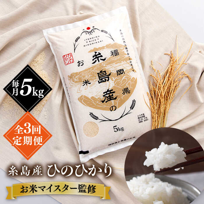 【全3回定期便】【こだわり精米】 糸島産 ひのひかり 5kg 糸島市 / RCF 米 お米マイスター[AVM006] 常温 33000円 3万3千円