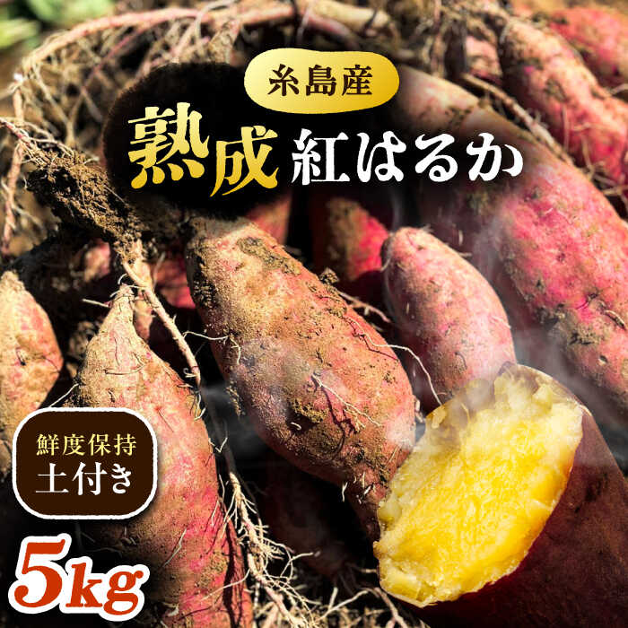 【訳あり】 糸島産 紅はるか 約5kg さつまいも 糸島市 / 3CS株式会社[AVO001] 7000円 7千円