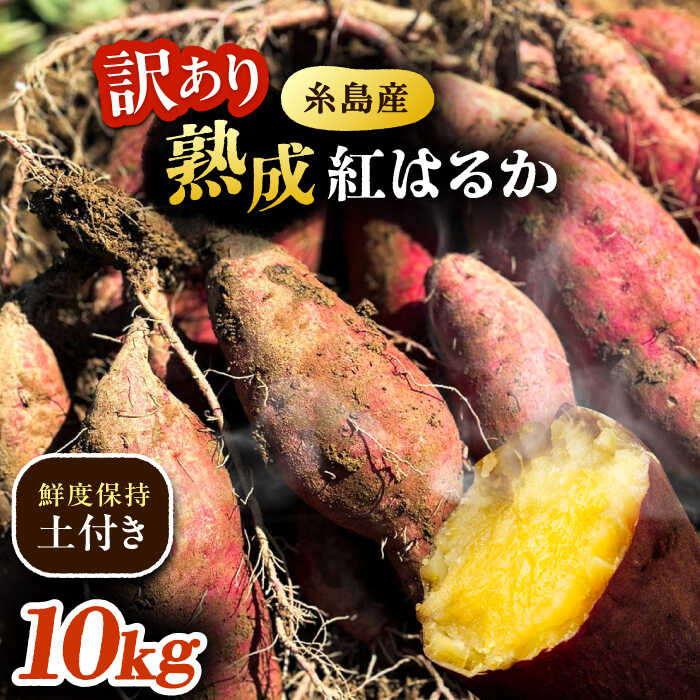 【ふるさと納税】【訳あり】 さつまいも 紅はるか 約10kg 土付き 無選別 福岡県糸島産 糸島市 / 3CS株式会社[AVO002] 12000円 1万2千円