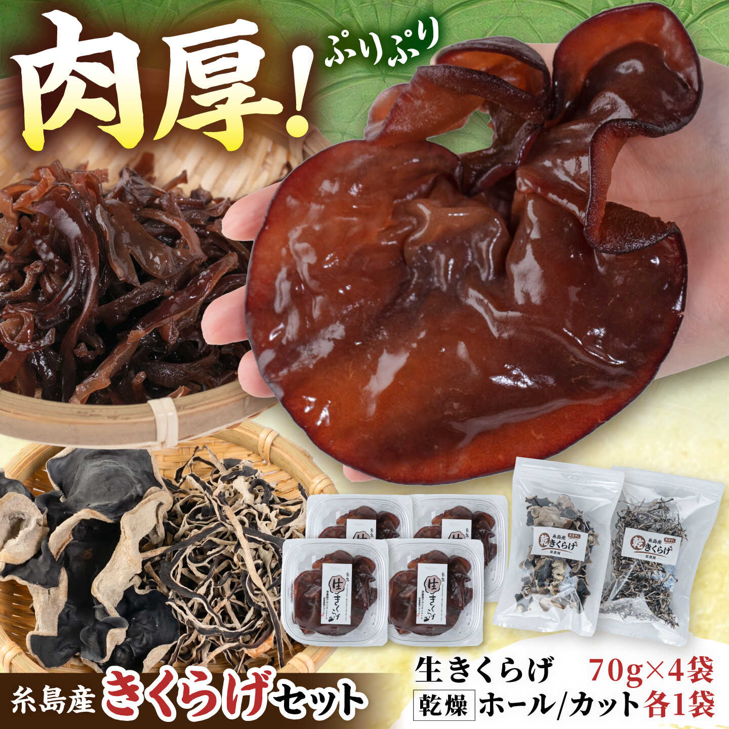 糸島市産 きくらげ セット（ 生きくらげ / 乾燥きくらげ ）/ きくらげ 木耳 国産 / 糸島市 / NEXT INNOVATION [AVR001] 生きくらげ 乾燥きくらげ 14000円 1万4000円 冷蔵