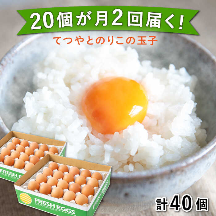 【ふるさと納税】卵 《20個 × 月2回 1ヶ月コース》 卵 てつやとのりこの玉子 全2回定期便 糸島市 / 板...