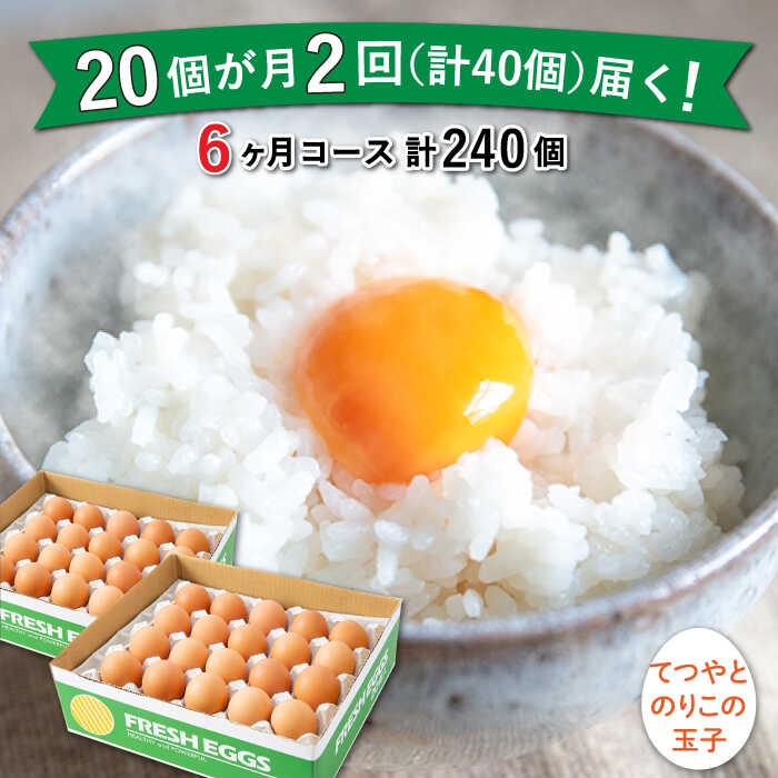 卵 たまご 玉子 鶏卵 卵かけご飯 便利 定期便 定期購入もう卵を買いに行く必要なし！ 【うれしいお届けスケジュールと内容量】 【お届けする「てつやとのりこの玉子」とは？！】 ■深い歴史と自然の中で生産 糸島の山麓で50年以上、5万羽を飼育する糸島市最大級の養鶏場です。 美味しい空気とホタルのいる川が流れる綺麗な場所です。 ■全国各地にお客様 自社ECのリピート率90%以上、丁寧に梱包して全国各地に発送しております。 ■全て口コミで広がりました！ 有名百貨店やホテル、多くの飲食店にて長らくご愛顧いただいています。 【糸島市・板垣養鶏場】 50年以上養鶏を行うなかで、私たち生産者のことをより知ってもらいたいと思い、20年ほど前から「てつやとのりこの玉子」の生産を始めました。 日本一の玉子を作るため試行錯誤し、やっと出来上がった納得のいく玉子です。 水や飼料も大事ですが、何より鶏に良い環境で卵を産んでもらえるように、私たちは気持ちを込めて仕事に向き合っています。 鶏の様子や環境などはfacebook「てつやとのりこの玉子」からご覧ください！ 糸島市の自然豊かな環境で育まれた、こだわりの卵をぜひお楽しみください。 配送スケジュール お申込み月の翌月、2回お届け（2つの配送スケジュールから選べます） 以降毎月2回お届け（お選びいただいたスケジュールに合わせて出荷いたします） ※生産状況によりお届けが前後する場合がございます。あらかじめご了承のうえお申し込みください。 ▼『てつやとのりこの玉子』その他の商品はこちら 商品説明 《月2回×20個 1ヶ月コース》 《月2回×20個 3ヶ月コース》 《月2回×20個 × 12ヶ月コース》 名称《月2回 × 20個 6ヶ月コース》 卵 てつやとのりこの玉子 全12回定期便 糸島市 板垣ファーム 内容量【1回のお届け量】サイズミックス20個 原料原産地 糸島市 賞味期限 発送より18日 アレルギー表示含んでいる品目：卵 配送方法※5月頃〜10月頃は冷蔵、11月頃から4月頃は常温 配送期日お申込み月の翌月、2回お届け（2つの配送スケジュールから選べます） 以降毎月2回お届け（お選びいただいたスケジュールに合わせて出荷いたします） ※生産状況によりお届けが前後する場合がございます。あらかじめご了承のうえお申し込みください。 提供事業者株式会社板垣ファーム