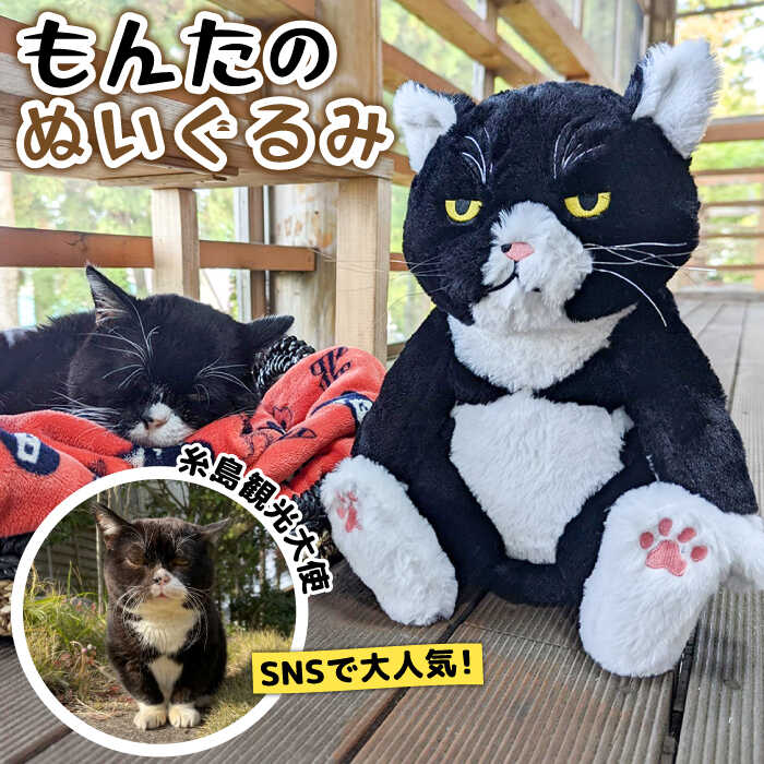 【ふるさと納税】【 SNSで人気の猫 / 糸島観光大使】【 もんた 】 ぬいぐるみ 糸島市 / Basismall [AXL001] 猫 ネコ 観光大使 15000円 1万5千円