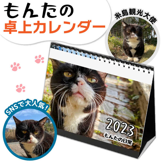 【ふるさと納税】【 SNSで人気の猫 / 糸島観光大使 】 2023年 「 もんたの日常 」 卓上 カレンダー 糸島市 / Basismall [AXL004] 猫 ネコ 観光大使 6000円 6千円のサムネイル