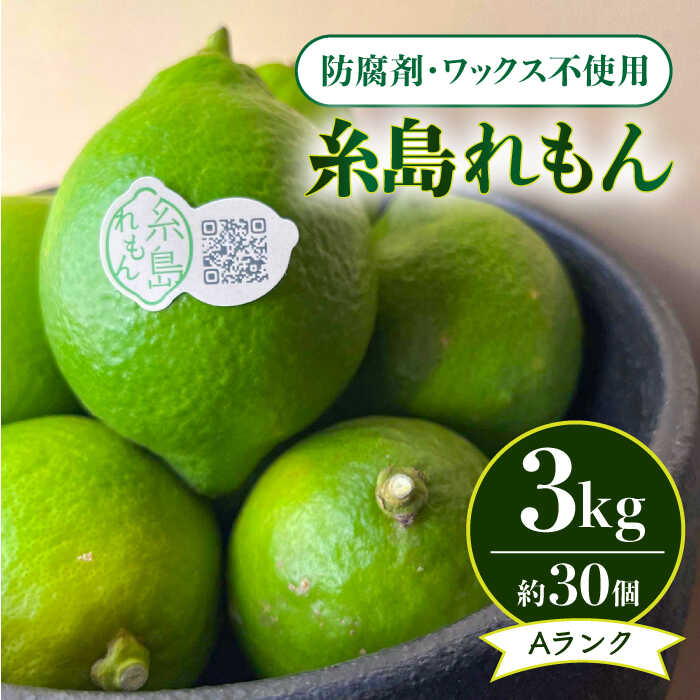 【防腐剤・ワックス不使用】糸島れもん A 3kg（30個前後） 糸島市 / 株式会社 糸島れもん [AYL001] 国産 レモン1万9千円19000円
