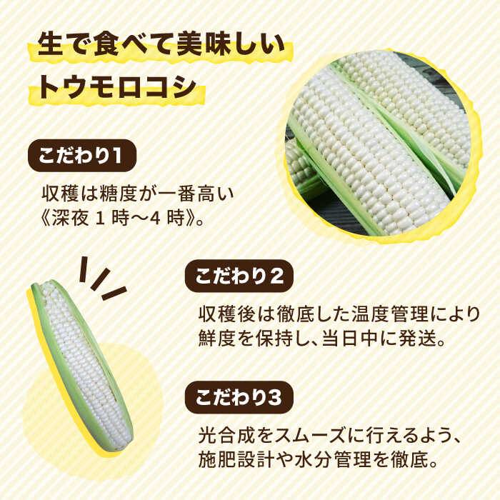 【ふるさと納税】【先行予約：2024年7月以降順次発送】糸島トウモロコシ『もきっこ』 白（8～10本）《糸島市》【内田農業】とうもろこし/野菜/やさい/コーン/スイートコーン [AZH002] 12000円