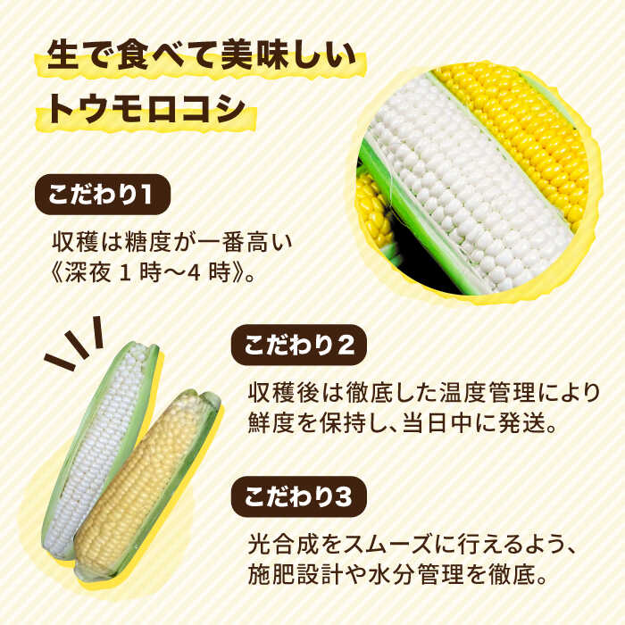 【ふるさと納税】【先行予約：2024年7月以降順次発送】糸島トウモロコシ『もきっこ』 白黄ミックス （8～10本）《糸島市》【内田農業】とうもろこし/野菜/やさい/コーン/スイートコーン [AZH003] 12000円