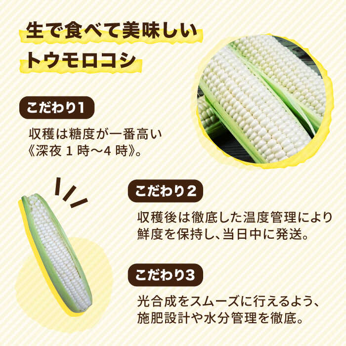 【ふるさと納税】【先行予約】糸島産 トウモロコシ 「もきっこ」 白 (5本前後) 【2026年6月下旬以降順次発送】糸島市 / 内田農業 [AZH005] とうもろこし コーン 8000円 8千円