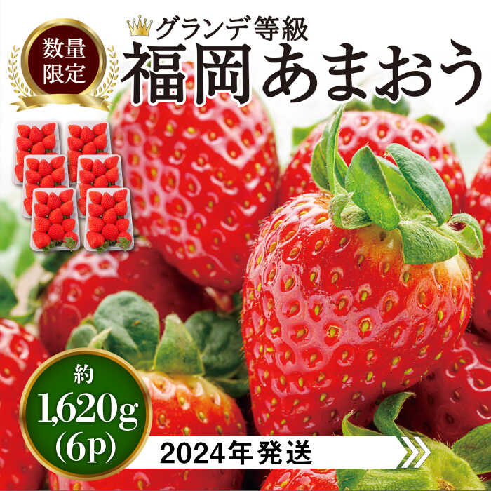 【ふるさと納税】【先行予約・2023年3月初旬より順次発送】【 数量限定 】 あまおう いちご 1,620g ( 約 270g × 6パック ) 糸島市 / 株式会社HSP-テクノ [AZL002] グランデ等級 福岡県産