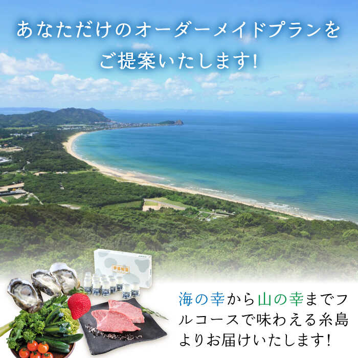 【ふるさと納税】【糸島市コンシェルジュ】返礼品...の紹介画像2