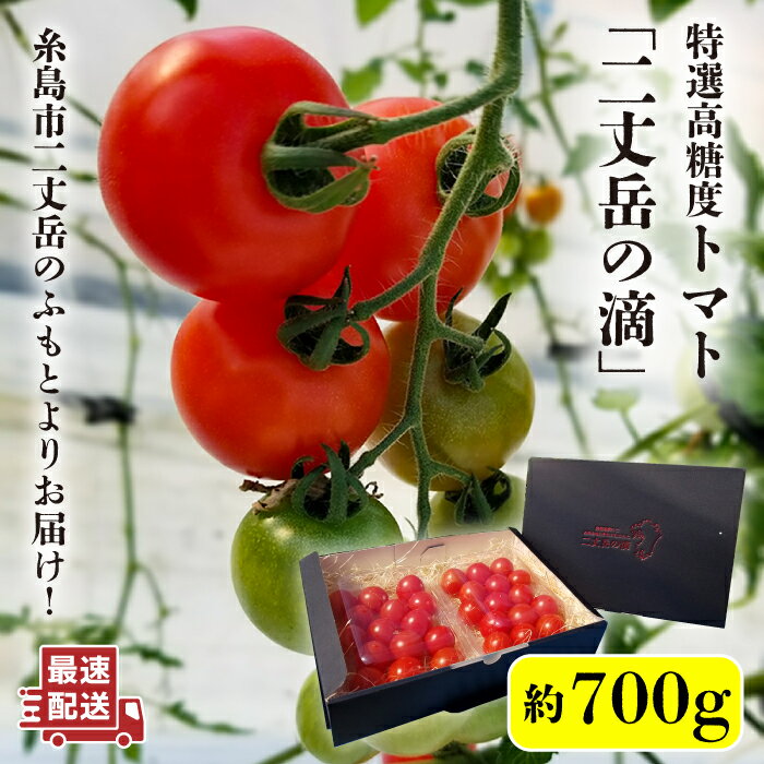 [二丈岳の滴]化粧箱入り トマト 約350g × 2パック 糸島市 / 株式会社 さいかい [AFL001] 16000円 常温