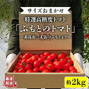 トマト とまと 野菜 やさい yasai 国産 ミディトマト 中玉 先行予約とびきり甘くて食べやすい！ 楽しみながら育てられたトマトを思う存分楽しめます。 サイズはおまかせ！大満足の2kg入り！ ※一つの箱には、同じサイズのものをお入れしております。 可愛らしくむっちりとした食感と口触りよく食べやすい薄い皮で、驚くほど甘さと旨味が詰まっております！ 小さなお子さまはもちろん、今までトマトが嫌いだった方に、特に好評いただきリピートいただいております。 古来より「医者いらず」とも評されるトマト。 リコピンや GABA を多く含む「二丈岳の滴」をお召し上がりください。 『はたらく（傍楽）プロジェクト』 はたらく農園では、創業当初より、高齢者や、障がいを持つ方々へプロジェクトへの参画を積極的に呼びかけ、 2021年11月に「就労継続支援 B 型」として福岡県より指定を受けるまでになりました。 農園に設置した直売所には、年齢問わず健康のため、美容のため、デザートとして、お土産として購入される方が多く、 最近では全国の方々からご注文いただいております。 丁寧にお届けします！ 可愛らしい専用ケースは、ご進物やご贈答にも人気です。 その他おすすめの商品はこちら！ 【二丈岳の滴】化粧箱入り トマト 約350g×2パック 糸島市 株式会社 さいかい 【訳あり】糸島二丈岳 【ふもとのトマト】 約2 kg 専用箱入り 糸島市 株式会社さいかい 商品説明 名称【ふもとのトマト】サイズおまかせ 内容約2kg 専用箱入り 箱サイズ：横320×縦225×高70mm 原料原産地 糸島市産 賞味期限 発送から14日間（要冷蔵） 配送方法常温 配送期日通常1週間以内に発送いたします。 ※収穫の状況により、発送時期が前後する場合がございますのでご了承ください。 提供事業者株式会社 さいかい トマト とまと 野菜 やさい yasai 国産