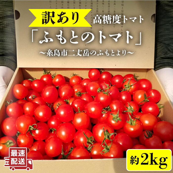 【ふるさと納税】【訳あり】【ふもとのトマト】 約2kg ( 専用箱入り ) 糸島市 / 株式会社 さいかい [A...