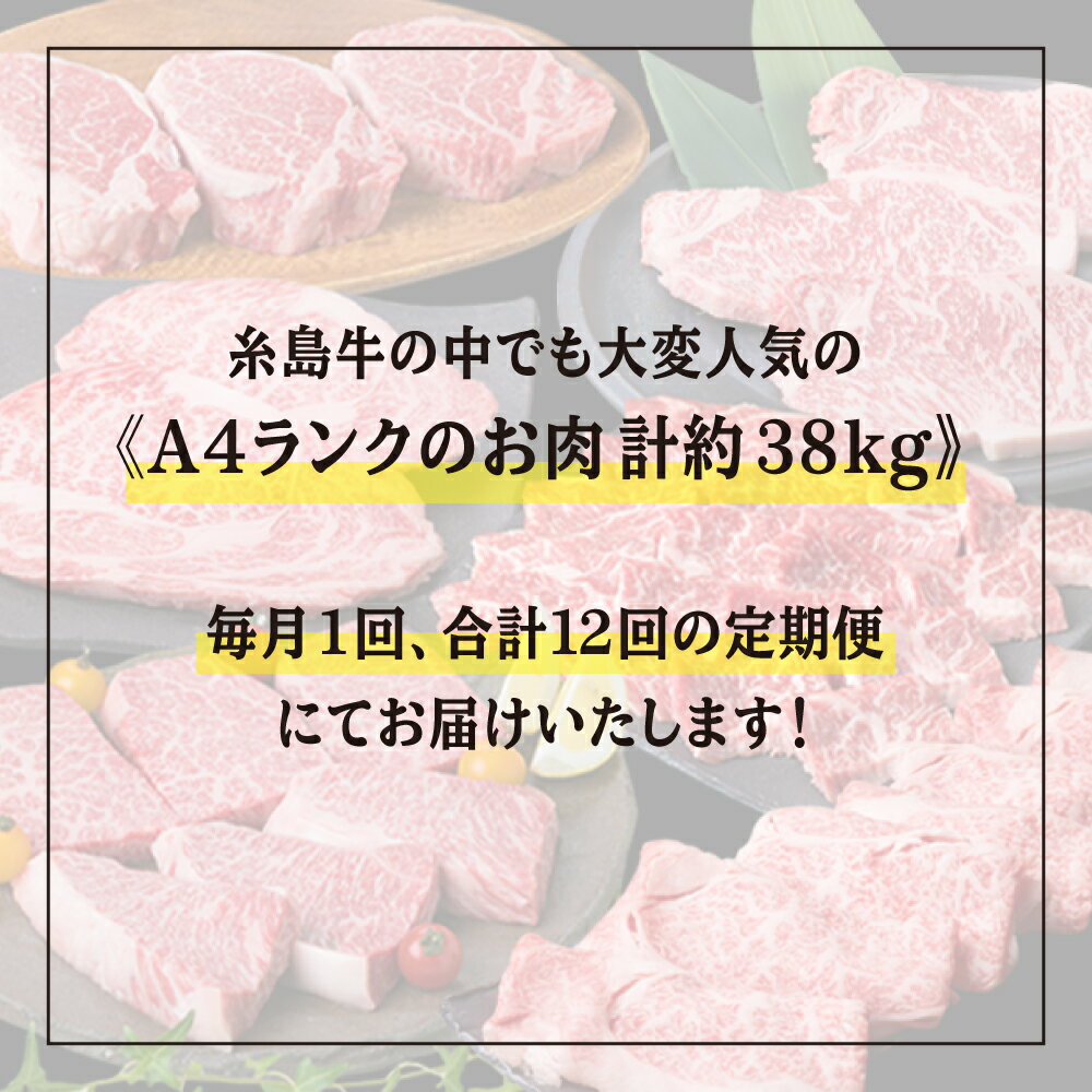 【ふるさと納税】【全12回定期便】A4ランク 糸島黒毛和牛 プレミアムセット (シャトーブリアン/サイコロステーキ/ローストビーフ/ロース/カルビ/ウデ/モモ/ハンバーグ/切り落とし) 計38.3kg 《糸島》【糸島ミートデリ工房】 [ACA076] 牛肉 定期便 2000000円 200万円