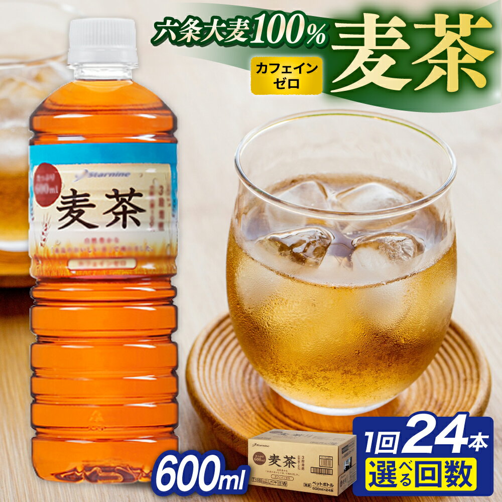 【ふるさと納税】【定期便選べる】麦茶 600ml × 24本 / 48本 糸島市 / スターナイン お茶 ペットボトル [ARM005] お届け本数と回数選べる 常温 6000円 6千円 定期便 定期配送