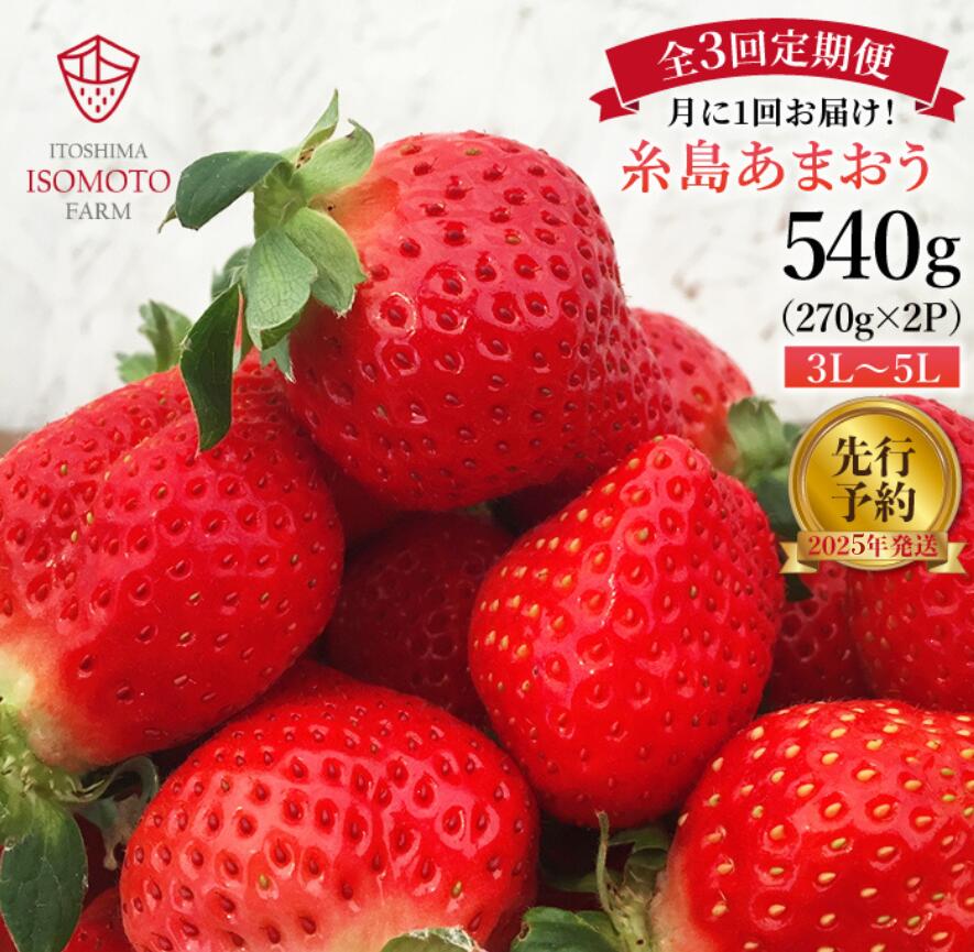 【ふるさと納税】【月1回・全3回定期便】糸島 あまおう 270g×2パック [先行予約*2024年1月～3月にて順次発送] (A品B品含む3L～5L) 糸島市 / 磯本農園 / TANNAL [ATB009] いちご 苺 イチゴ 24000円のサムネイル
