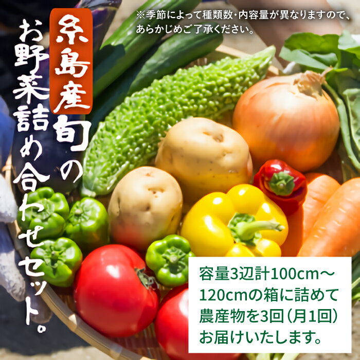 【ふるさと納税】【全3回定期便】福岡県糸島産 旬の野菜盛り合わせセット [AWC007] 36000円