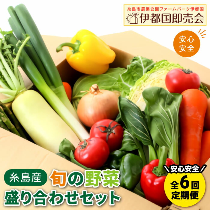 [全6回定期便]福岡県糸島産 旬の野菜盛り合わせセット 糸島市 / ファームパーク伊都国 [AWC008] 71000円