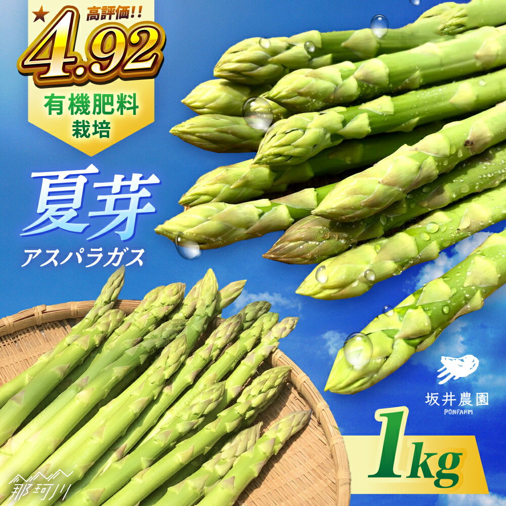 楽天福岡県那珂川市【ふるさと納税】テレビで紹介！ サイズが豊富で食卓楽しい！アスパラガス 1kg＜坂井農園＞那珂川市 | 野菜 レシピ付き アスパラ アスパラガス 野菜[GBP001]10000 10000円 1万円 以上