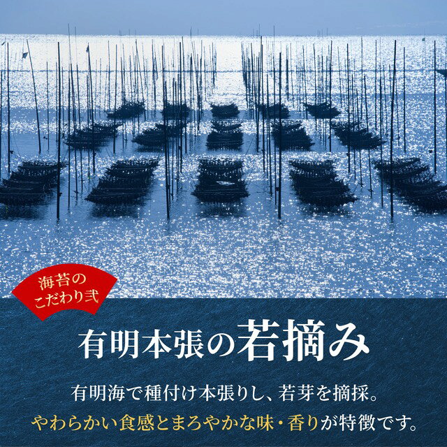 【ふるさと納税】 ＜選べる容量/回数＞【訳あり】福岡有明のり 焼き海苔 20g×2袋/6袋