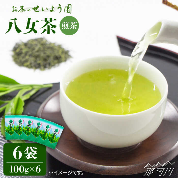 八女茶 6袋セット(計600g)[お茶の星陽園]那珂川市 お茶 緑茶 茶葉 