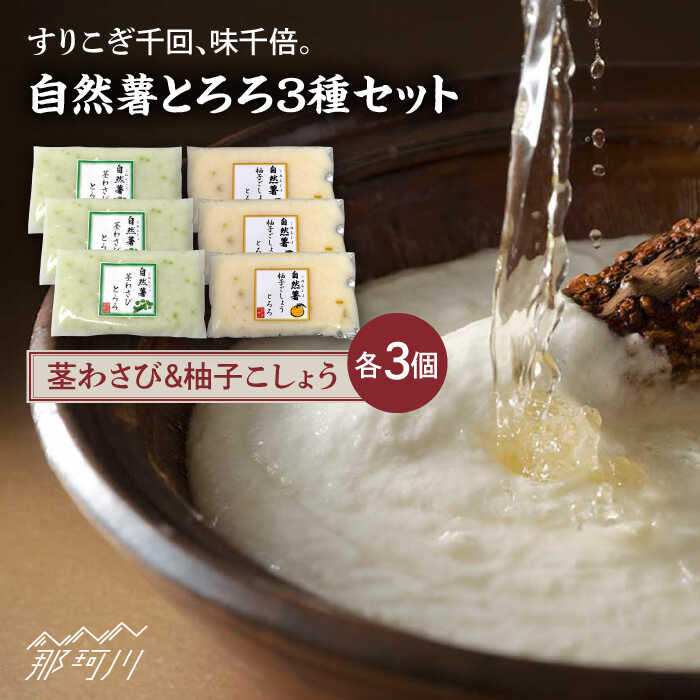 【ふるさと納税】【11月上旬から発送】自然薯とろろ 茎わさび