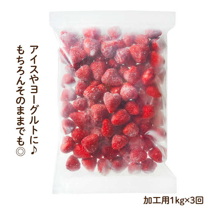 【ふるさと納税】【全3回定期便！濃厚な味わい！】冷凍いちご「博多あまおう」1kg（加工用）＜やまや＞那珂川市 定期便 いちご フルーツ 果物 あまおう 九州産 苺 国産[GAK037]