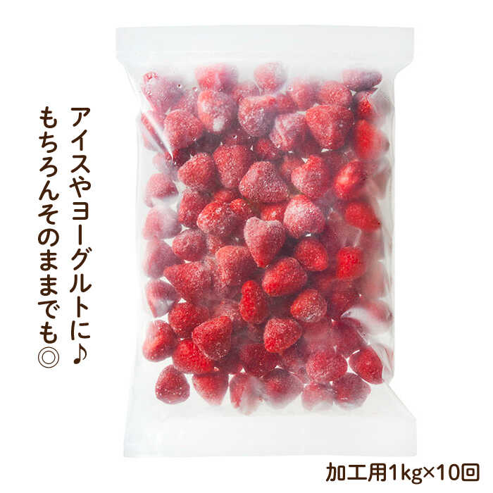 【ふるさと納税】【全10回定期便！濃厚な味わい！】冷凍いちご「博多あまおう」1kg（加工用）＜やまや＞ 那珂川市 定期便 いちご フルーツ 果物 あまおう 九州産 苺 国産[GAK039]