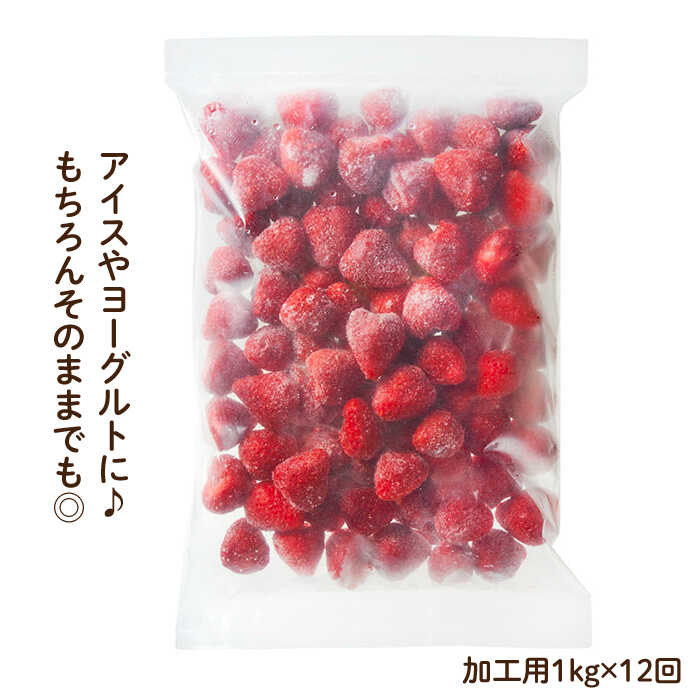 【ふるさと納税】【全12回定期便！濃厚な味わい！】冷凍いちご「博多あまおう」1kg（加工用）＜やまや＞ 那珂川市 [GAK040]