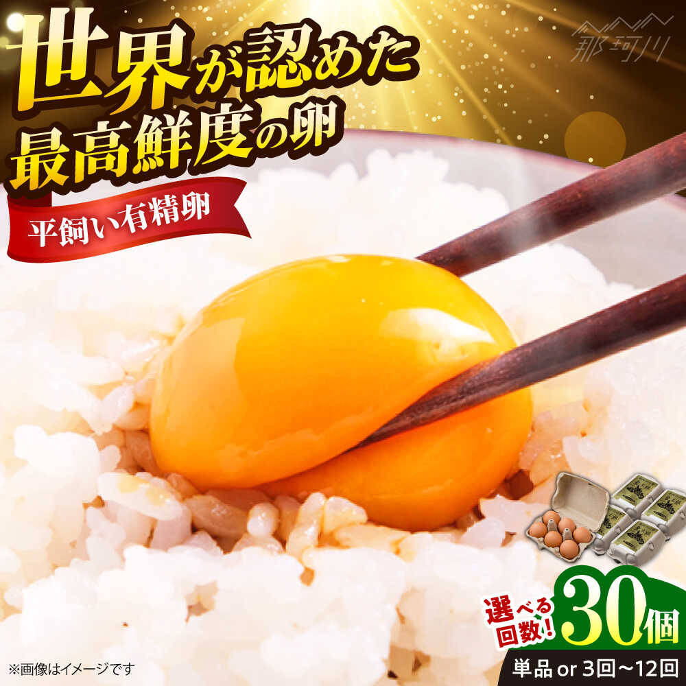 楽天福岡県那珂川市【ふるさと納税】【選べる回数】【TVで紹介！鮮度AA級の世界最高ランク！】金太郎卵 平飼い たまご 30個（6個×5パック）＜有限会社 フジノ香花園＞那珂川市 | 卵 定期便 たまご 平飼い 卵かけご飯 ご飯のお供 割れ保証 [GAM006]